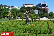 Путешествие в Албанию – город-побратим Гянджи, старейший город Европы  (ФОТО)