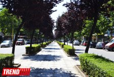 Путешествие в Албанию – город-побратим Гянджи, старейший город Европы  (ФОТО)