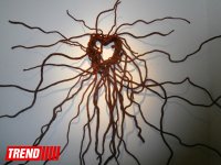 В Баку открылась выставка "#CHOISE" – принятие одного решения в условиях множественности альтернатив (ФОТО)