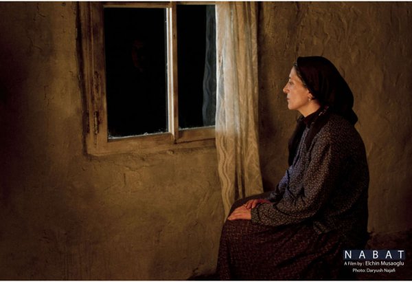 Азербайджанский фильм номинирован на кинопремию "Ника" (ФОТО)