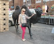 Путешествие в Урумчи - на северных склонах Тянь-шаньских гор, Небесное озеро (ФОТО)