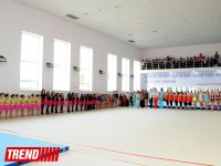 В Бакинской школе гимнастики состоялись гала-выступления (ФОТО)