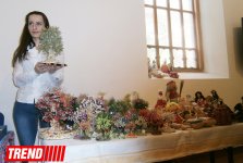 Ковровые орнаменты народных умельцев - фестиваль в Баку (ФОТО)