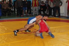 В Баку определились победители чемпионата по вольной борьбе (ФОТО)