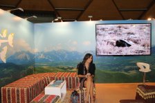 Вице-президент Фонда Гейдара Алиева Лейла Алиева выступила на пленарной сессии Всемирного конгресса парков (ФОТО)