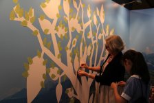 Вице-президент Фонда Гейдара Алиева Лейла Алиева выступила на пленарной сессии Всемирного конгресса парков (ФОТО)