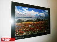 "Краски Турции" в Баку - чеканка по металлу, керамика, вышивка (ФОТО)