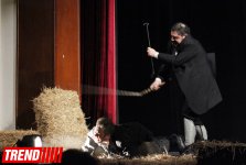 "Холстомер. История лошади"  - потрясающий спектакль Грузинского театра в Баку (ФОТО)