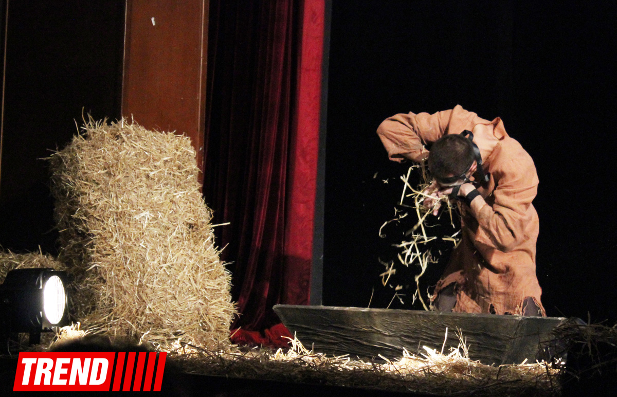 "Холстомер. История лошади"  - потрясающий спектакль Грузинского театра в Баку (ФОТО)