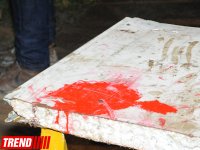 Состоялась презентация съемок эпизодов фильма "Кровавый январь" (ФОТО)