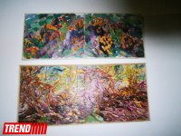 Я "купался" в красоте Демир-агач... – художник Дарвин Велибеков (ФОТО)