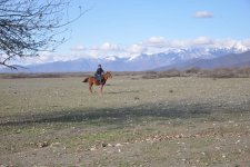 Оксана Расулова презентовала в Баку проект "Сары гялин" (ВИДЕО-ФОТО)