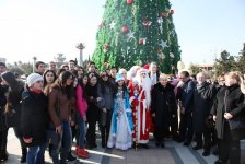 Вице-президент Фонда Гейдара Алиева Лейла Алиева и гости из России побывали в Гяндже (ФОТО)