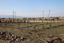 Вице-президент Фонда Гейдара Алиева Лейла Алиева и гости из России побывали в Гяндже (ФОТО)