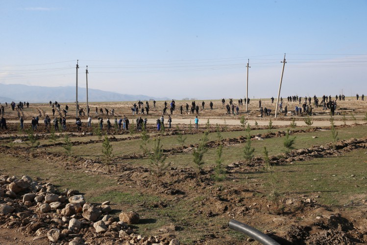 Вице-президент Фонда Гейдара Алиева Лейла Алиева и гости из России побывали в Гяндже (ФОТО)