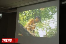 В Баку прошла презентация интересного проекта "Я горжусь тем, что я азербайджанец" (ВИДЕО-ФОТО)