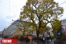 Новогодний Цюрих глазами азербайджанца – красочные витрины, древняя архитектура…(ФОТО)