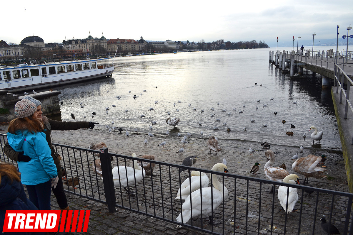 Новогодний Цюрих глазами азербайджанца – красочные витрины, древняя архитектура…(ФОТО)
