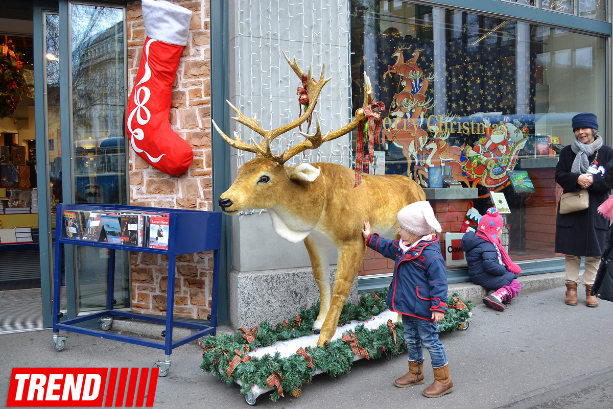 Новогодний Цюрих глазами азербайджанца – красочные витрины, древняя архитектура…(ФОТО)