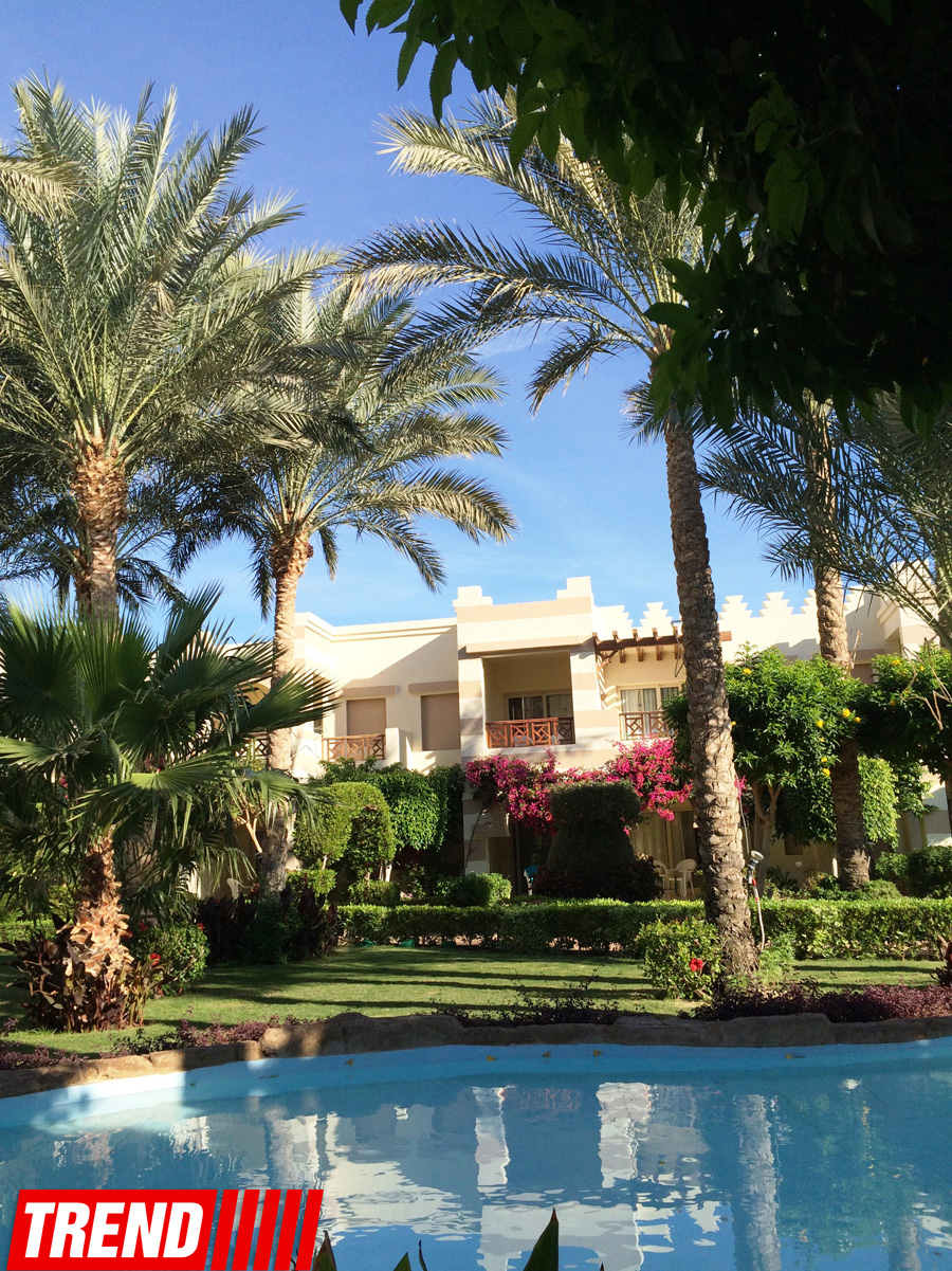 Из Баку в Шарм-эль-Шейх, жемчужину Красного моря (ФОТО)