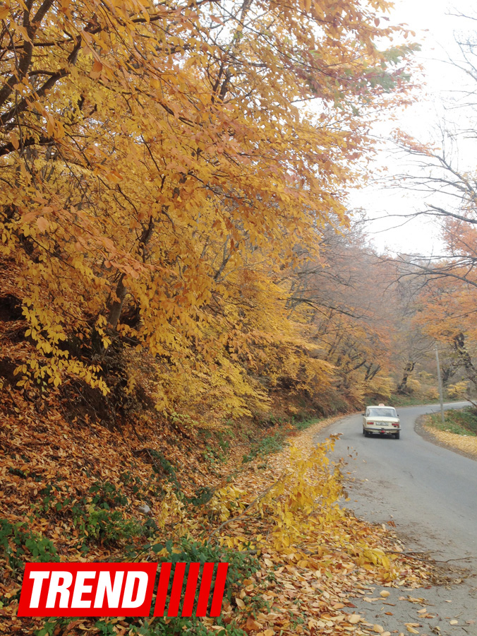 Неизведанный Азербайджан: "Замок сорока девушек" – гарем Ширванских ханов (ФОТО)