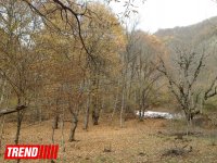 Неизведанный Азербайджан: "Замок сорока девушек" – гарем Ширванских ханов (ФОТО)