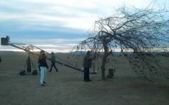 Древо желаний и мистические события в Азербайджане (ФОТО)