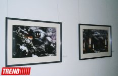 Художественные и графические произведения очевидцев трагедии 20 января (ФОТО)