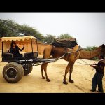 Оксана Расулова на красной дорожке Болливуда  (ФОТО)