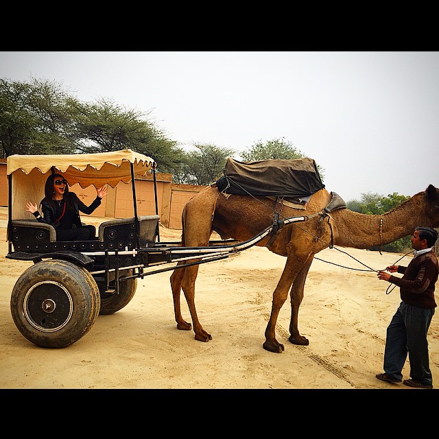 Оксана Расулова на красной дорожке Болливуда  (ФОТО)