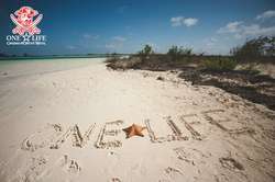 Куба вместе с ONE  LIFE!  (ФОТО–ВИДЕО)