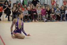 Прошло первое в этом году заседание Исполкома Федерации гимнастики Азербайджана (ФОТО)