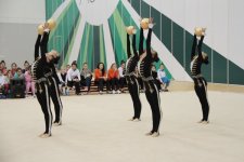 Прошло первое в этом году заседание Исполкома Федерации гимнастики Азербайджана (ФОТО)