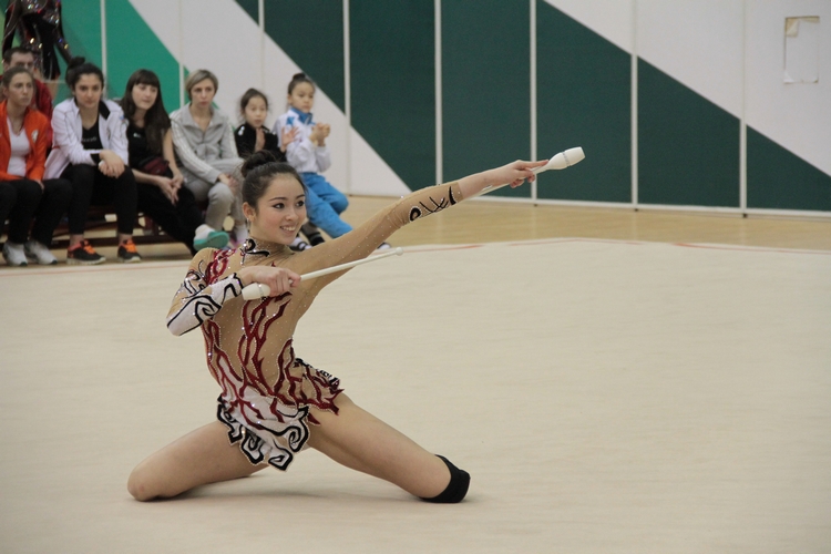 Прошло первое в этом году заседание Исполкома Федерации гимнастики Азербайджана (ФОТО)