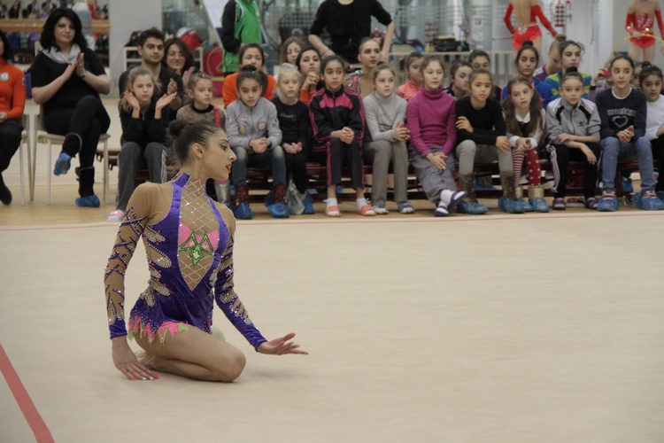 Прошло первое в этом году заседание Исполкома Федерации гимнастики Азербайджана (ФОТО)