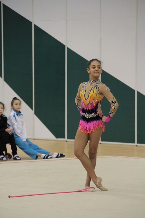 Прошло первое в этом году заседание Исполкома Федерации гимнастики Азербайджана (ФОТО)