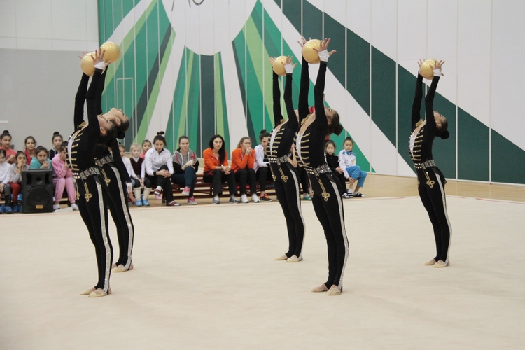 Прошло первое в этом году заседание Исполкома Федерации гимнастики Азербайджана (ФОТО)