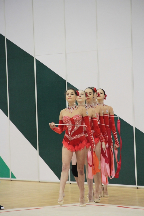 Прошло первое в этом году заседание Исполкома Федерации гимнастики Азербайджана (ФОТО)