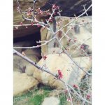 Мария Вальверде знакомится с достопримечательностями Баку (ФОТО)