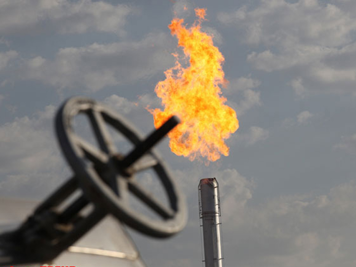 Венгрия изучает перспективы закупок туркменского газа