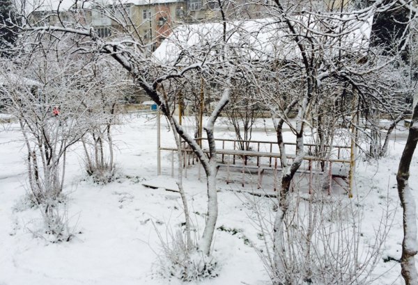 На западе Азербайджана выпал сильный снег