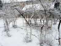 Снегопад накрыл Баку белым одеялом (ФОТОСЕССИЯ)