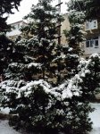 Снегопад накрыл Баку белым одеялом (ФОТОСЕССИЯ)