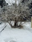 Снегопад накрыл Баку белым одеялом (ФОТОСЕССИЯ)