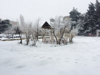 Снегопад накрыл Баку белым одеялом (ФОТОСЕССИЯ)