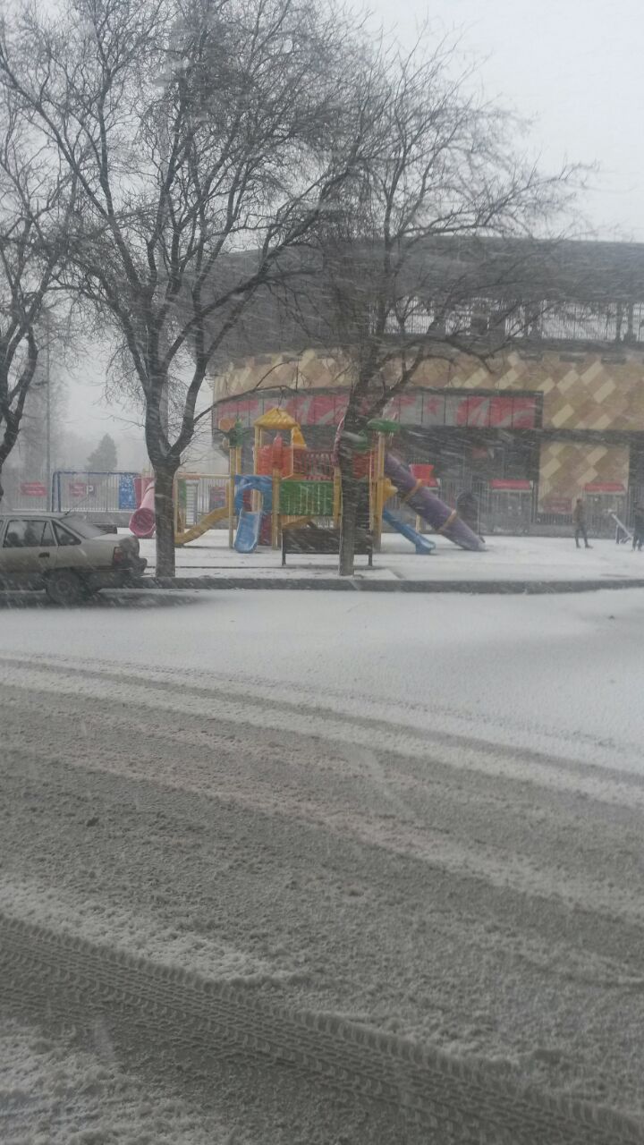 Снегопад накрыл Баку белым одеялом (ФОТОСЕССИЯ)