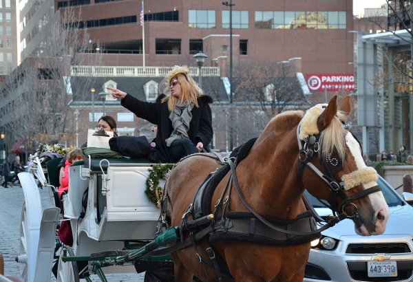 Нью-Йорк глазами азербайджанца: поездка в Филадельфию (ФОТО, часть 7)