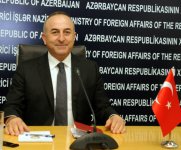 Сотрудничество Азербайджана и Турции строится на принципе "Одна нация - два государства" - МИД (ФОТО)
