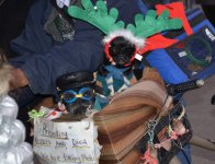 Нью-Йорк глазами азербайджанца: поездка в Филадельфию (ФОТО, часть 7)