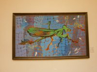 В Баку раскрыта тайна женского очарования (ФОТО)